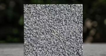 铜陵 芝麻黑荔枝面