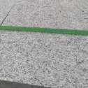 铜陵芝麻白荔枝面质量