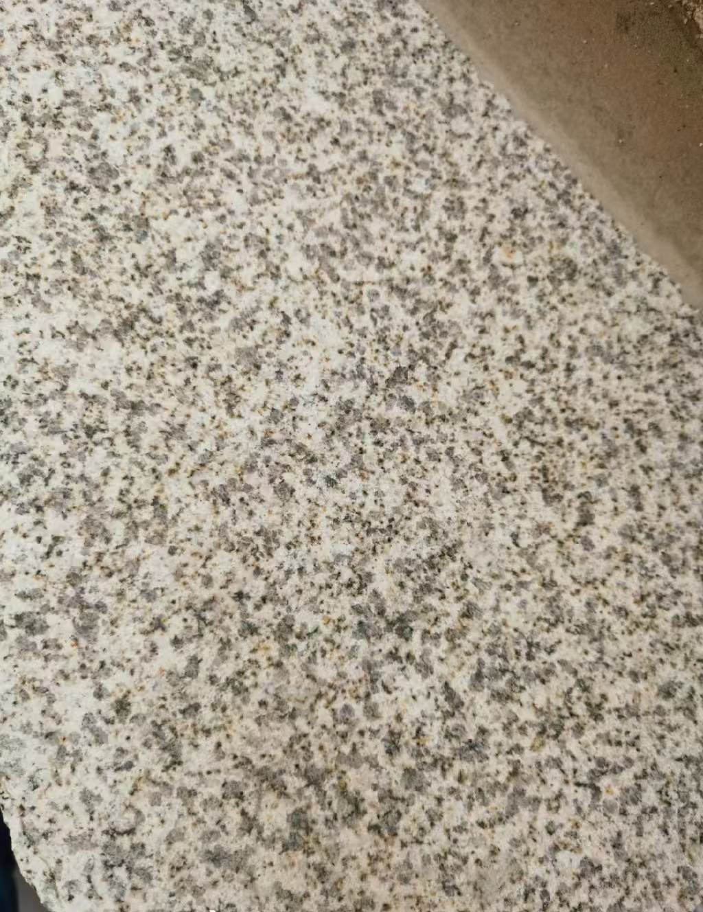 铜陵 黄金麻中黄光面