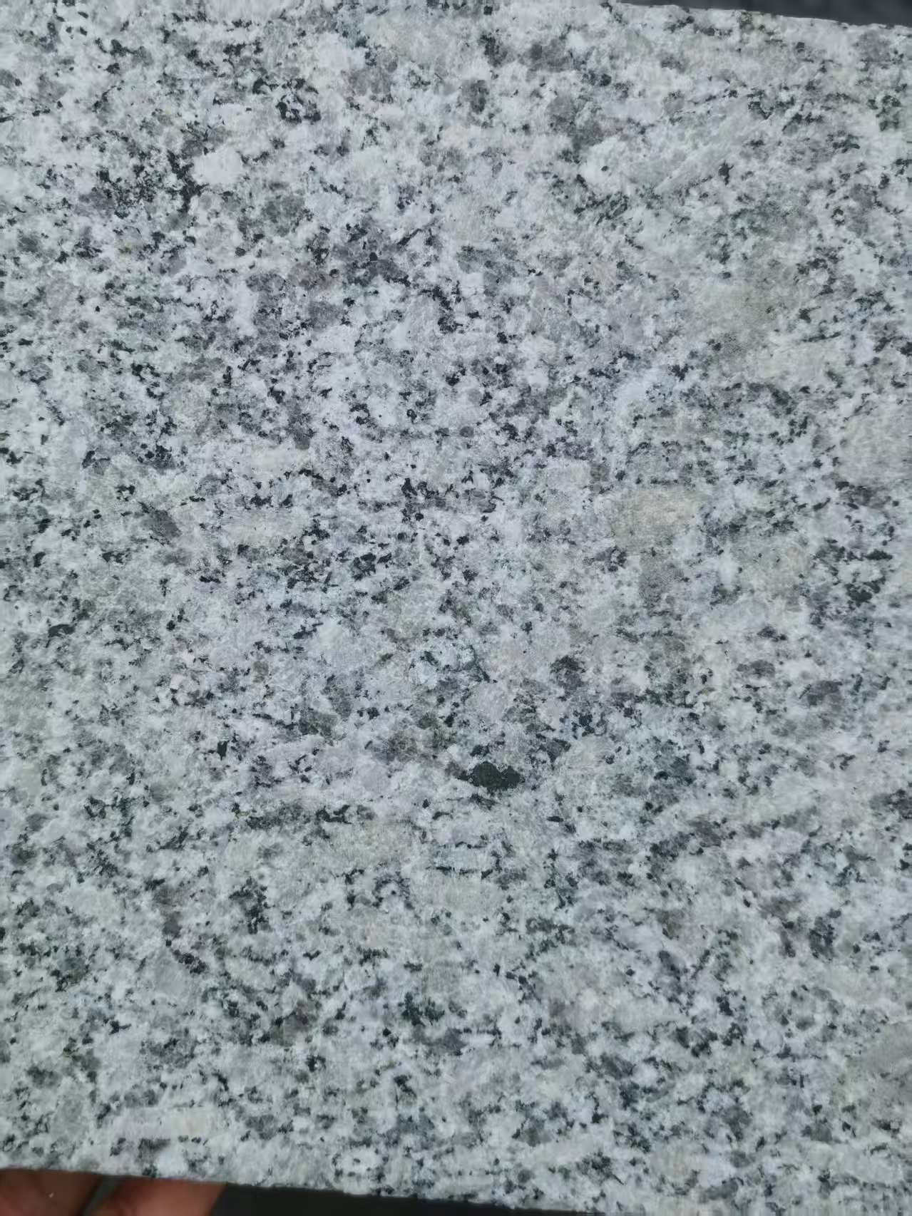 铜陵 芙蓉白火烧面