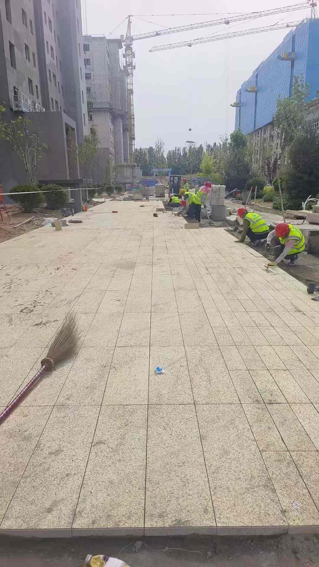 铜陵黄金麻荔枝面地铺案例